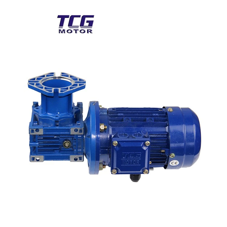 3RPM AC GEAR MOTOR suppliers