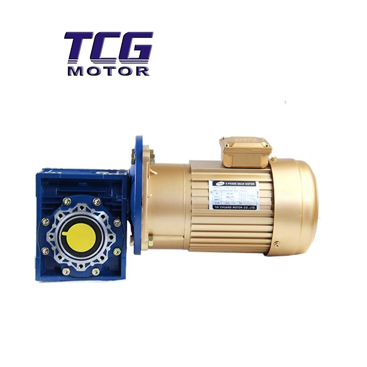 3RPM AC GEAR MOTOR factory